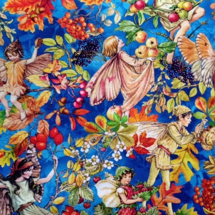 Fairy Bodice Mix