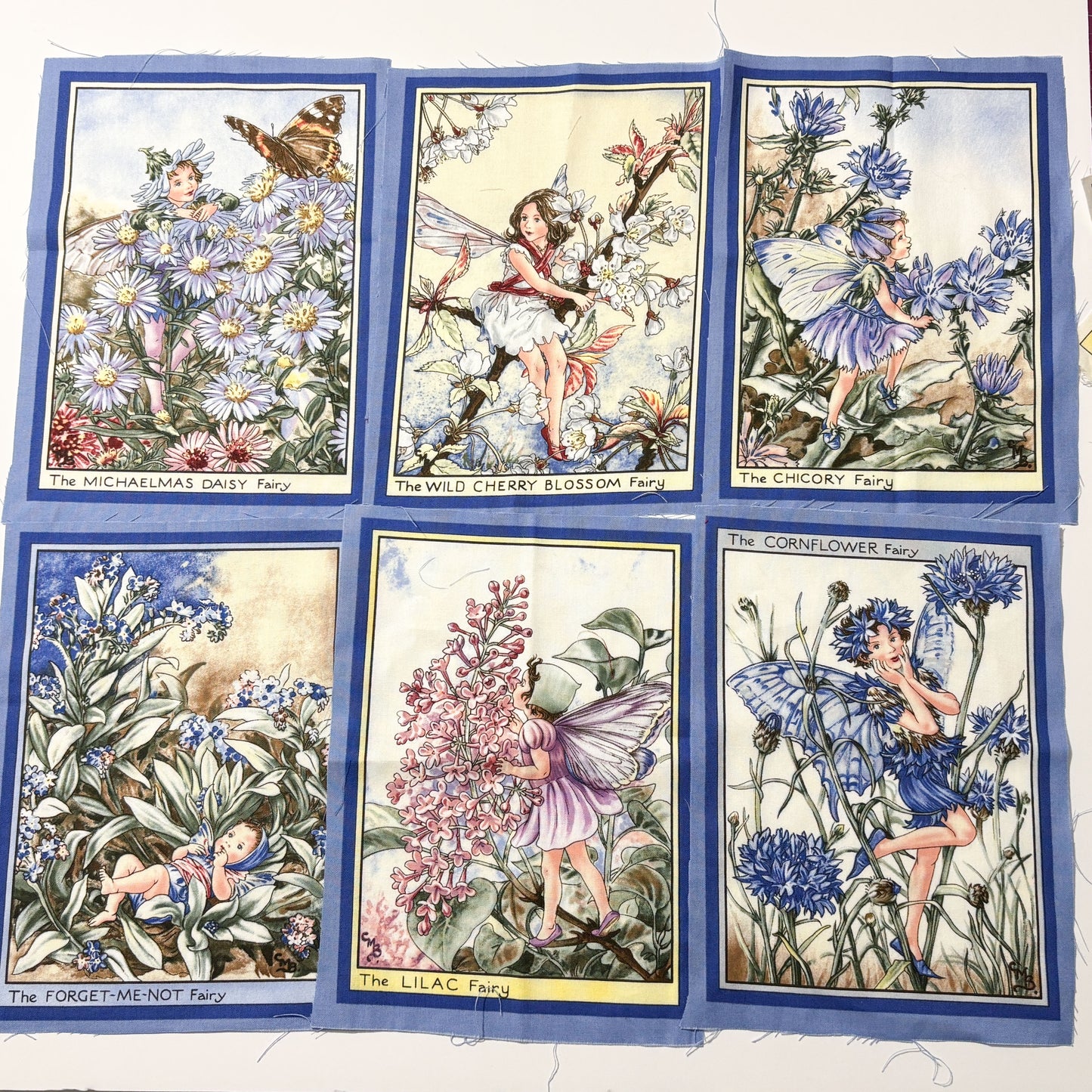Fairy Panel