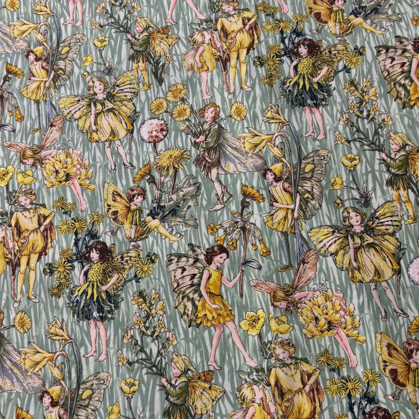 Flower Fairies Bodice Only