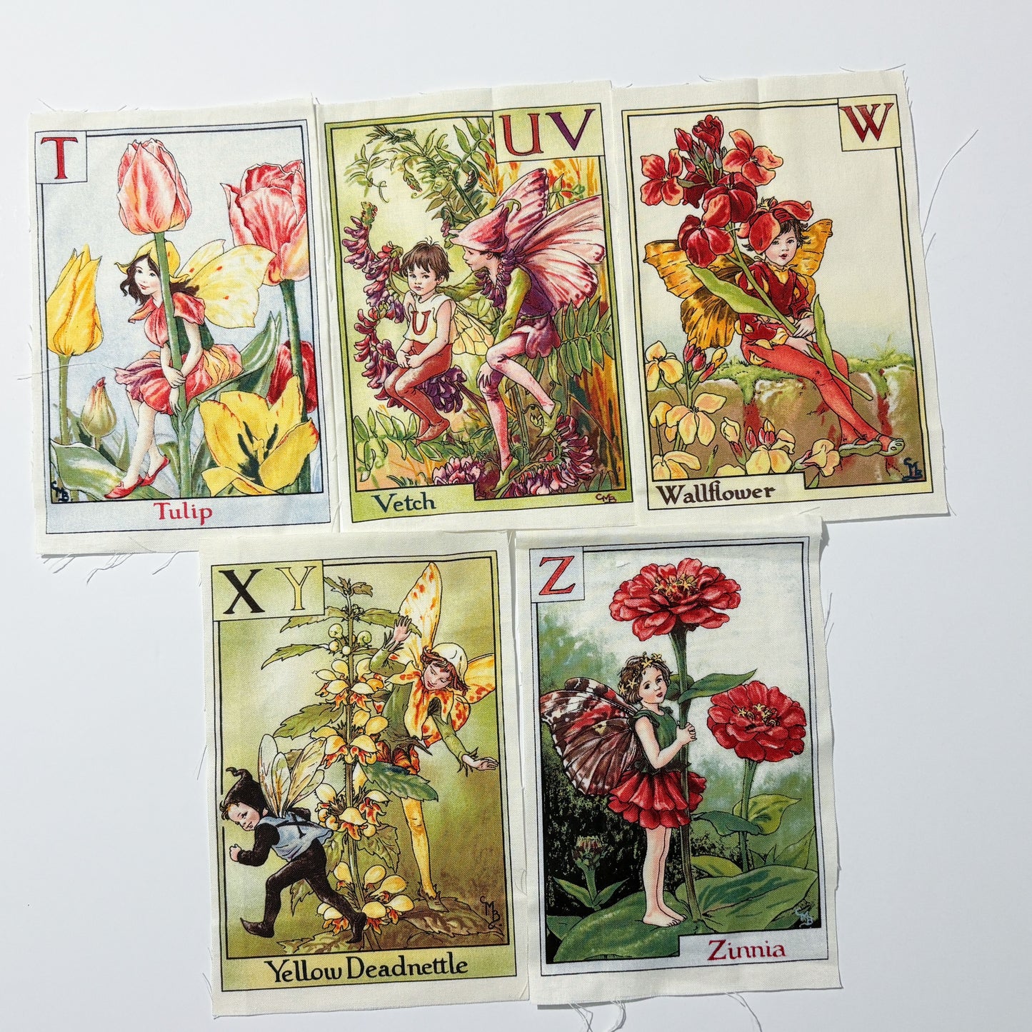 Fairy Panel
