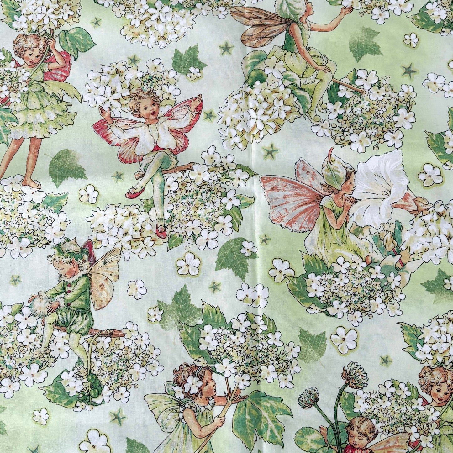 Flower Fairies Bodice Only