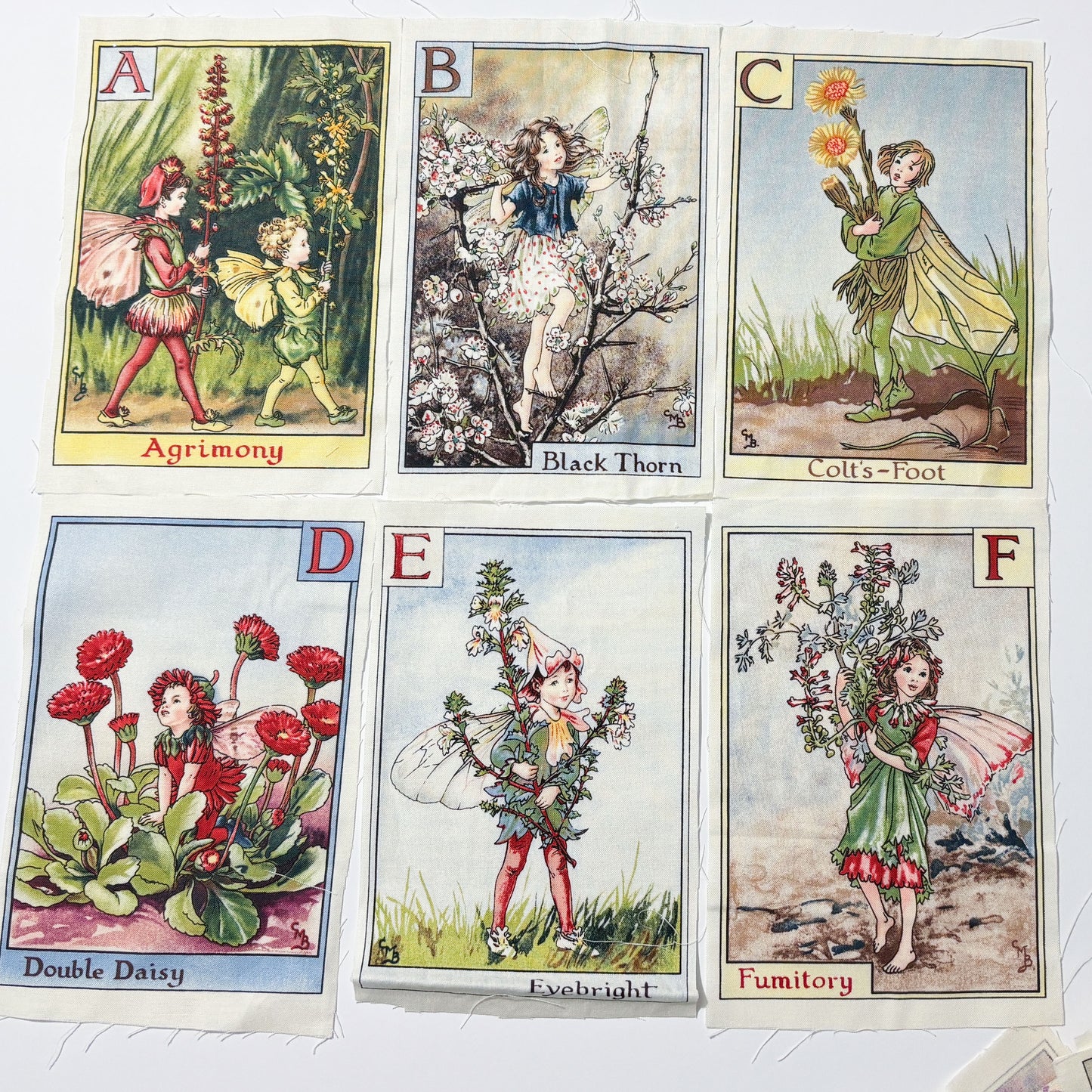Fairy Panel