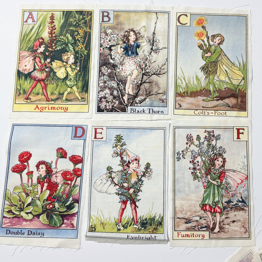 Fairy Panel